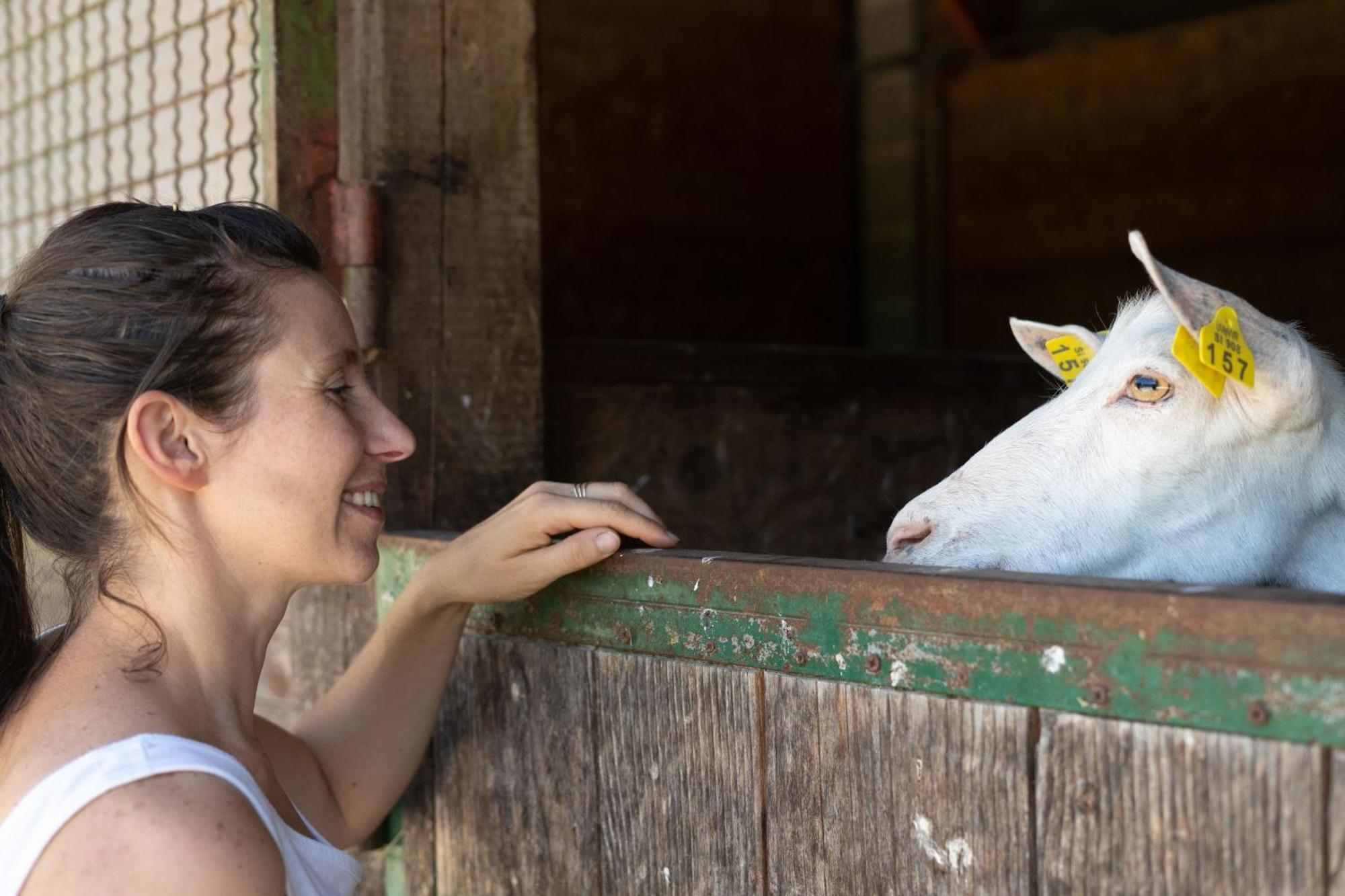 Horse Farm Holiday Pr' Kolenc Згорнє Горє Екстер'єр фото